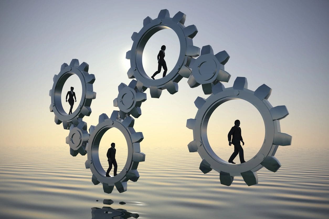 A group of people walking through gears in the water.